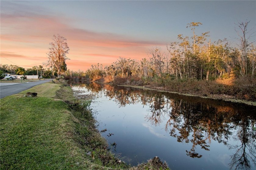Lakefront living with a proper sunset! Down a private road with - photo 39