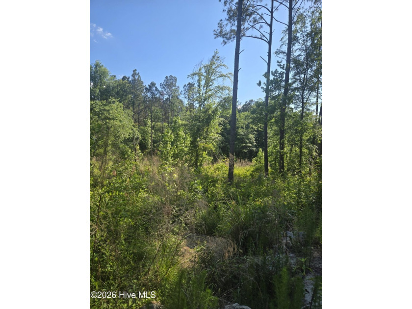 Land for Sale - Serenity Pointe Subdivision Beautiful 6.67 - photo 4