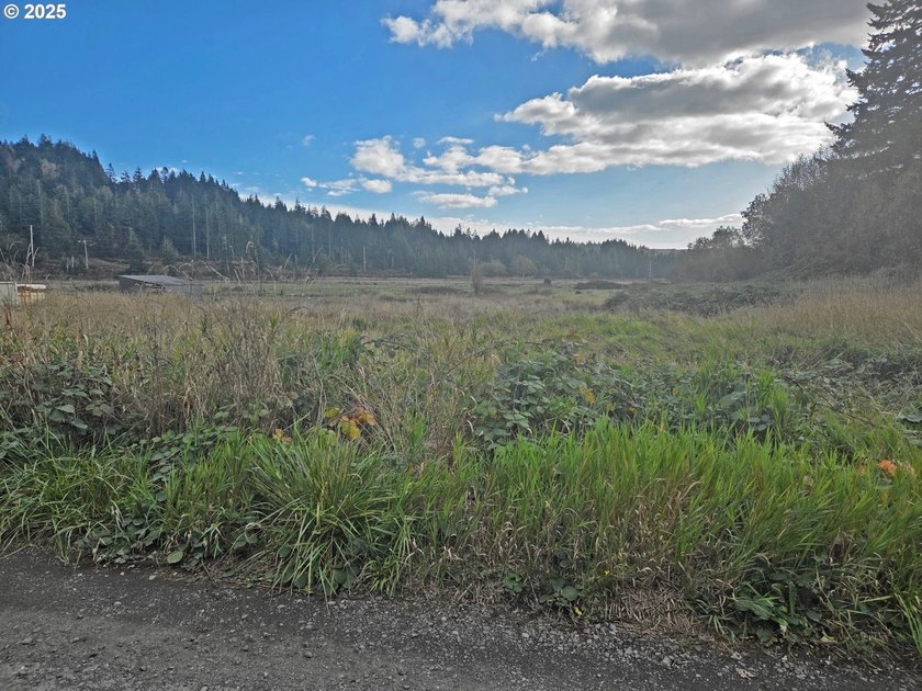 Large vacant lot located in the Englewood area of Coos Bay. This - photo 3