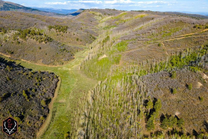 East Fork Cherry Creek Ranch is a rare 1,020+/- acre - photo 8