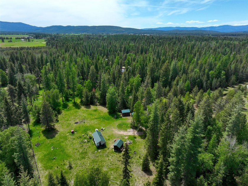 Create your dream home on this enchanted woodland 5.03 acre - photo 10