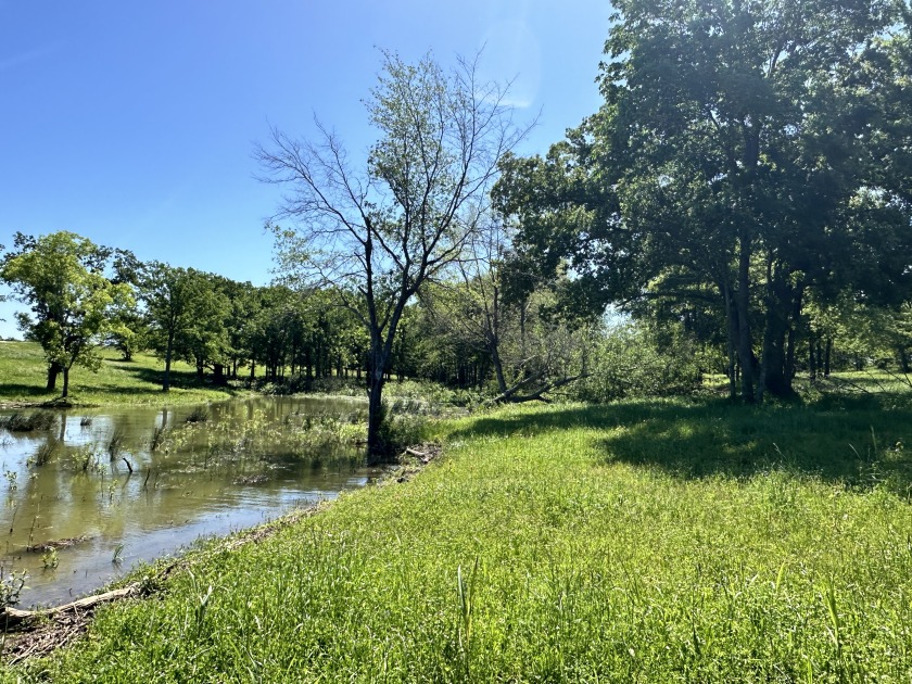 Beautiful waterfront lot in Admiral Shores - photo 5