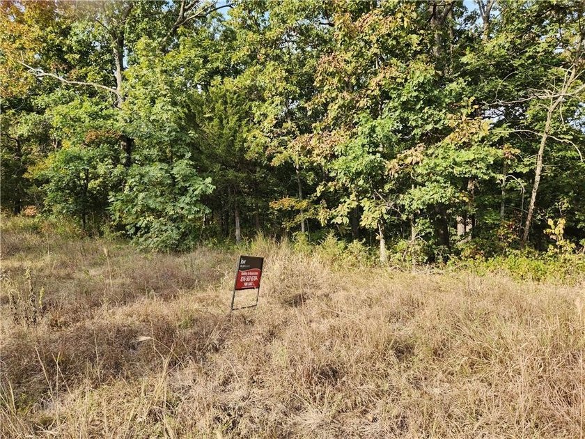 This listing includes 2 parcels: 17-8.0-33-000-000-024.000 3.5 - photo 4