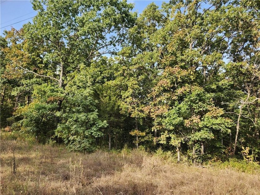 This listing includes 2 parcels: 17-8.0-33-000-000-024.000 3.5 - photo 7