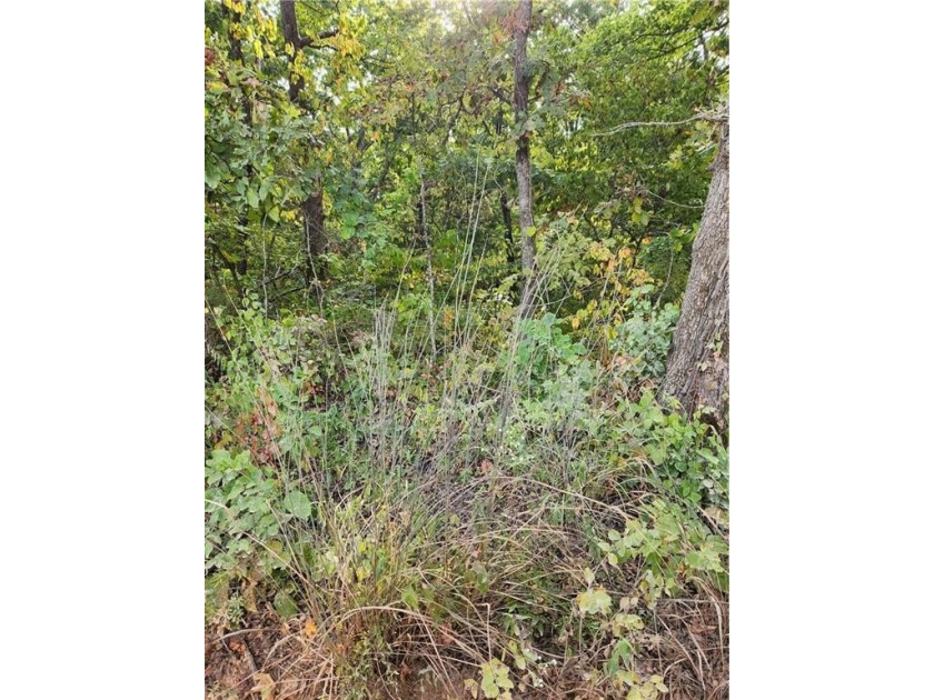 This listing includes 2 parcels: 17-8.0-33-000-000-024.000 3.5 - photo 8