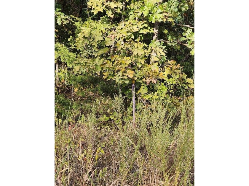 This listing includes 2 parcels: 17-8.0-33-000-000-024.000 3.5 - photo 10