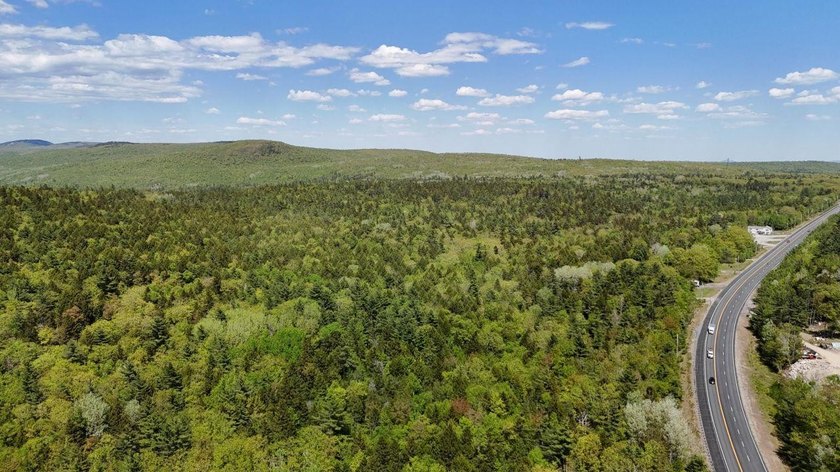 Large undeveloped lot with approximately 1700' on Acadia Highway - photo 6