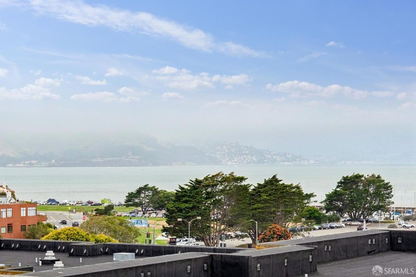 Sophisticated and modern living is offered in this Marina - photo 30
