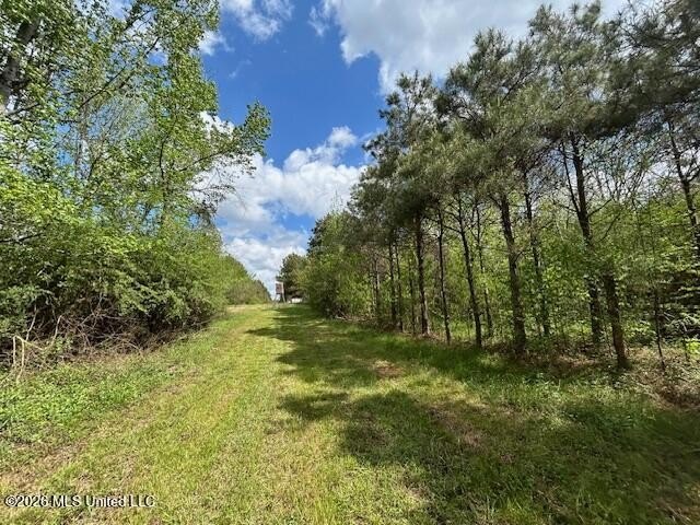 Stunning 120-Acre Recreational Retreat Near Tylertown Discover - photo 14