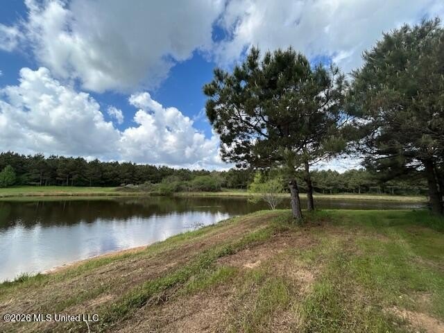 Stunning 120-Acre Recreational Retreat Near Tylertown Discover - photo 19