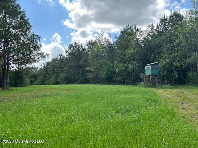Stunning 120-Acre Recreational Retreat Near Tylertown Discover - photo 20