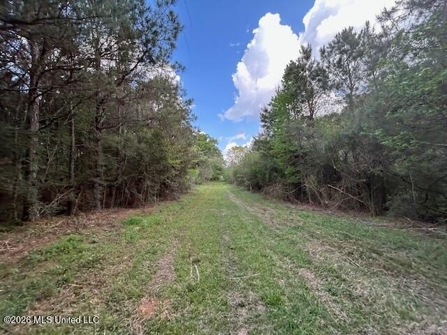 Stunning 120-Acre Recreational Retreat Near Tylertown Discover - photo 24
