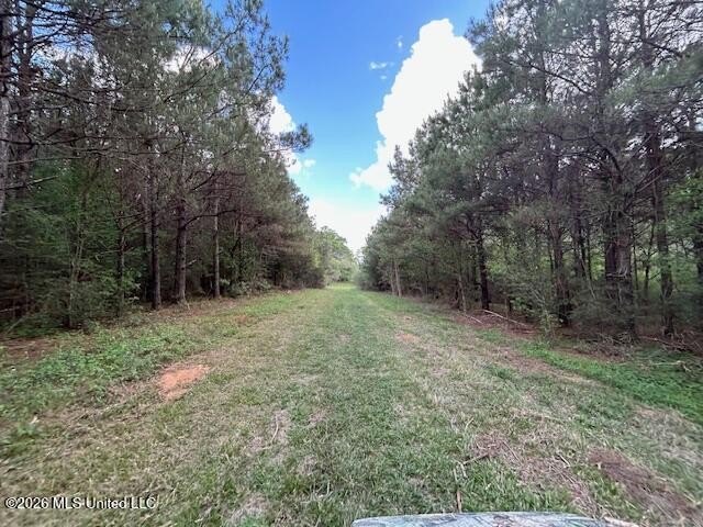 Stunning 120-Acre Recreational Retreat Near Tylertown Discover - photo 25