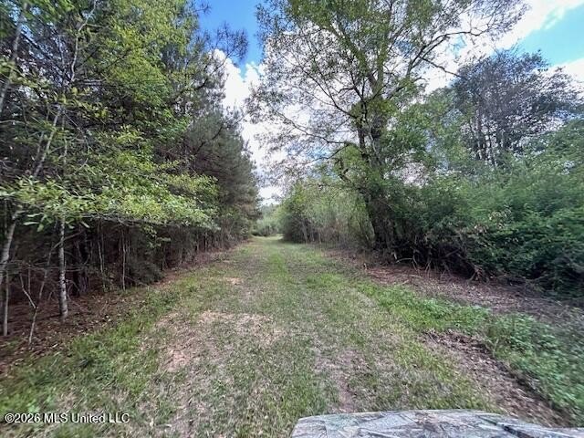 Stunning 120-Acre Recreational Retreat Near Tylertown Discover - photo 27