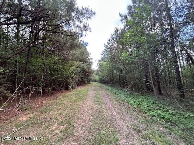 Stunning 120-Acre Recreational Retreat Near Tylertown Discover - photo 28