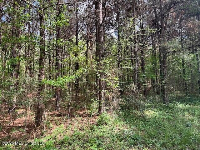Stunning 120-Acre Recreational Retreat Near Tylertown Discover - photo 29