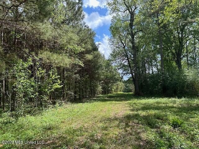 Stunning 120-Acre Recreational Retreat Near Tylertown Discover - photo 31