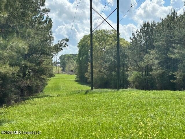 Stunning 120-Acre Recreational Retreat Near Tylertown Discover - photo 33