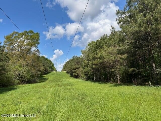 Stunning 120-Acre Recreational Retreat Near Tylertown Discover - photo 36