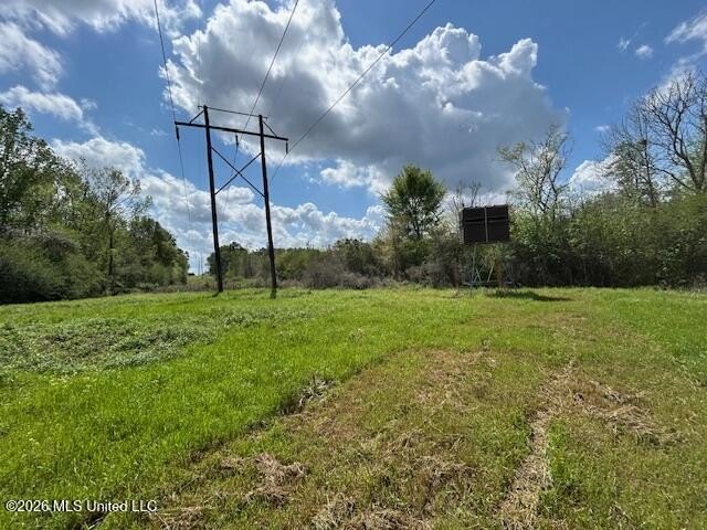 Stunning 120-Acre Recreational Retreat Near Tylertown Discover - photo 37