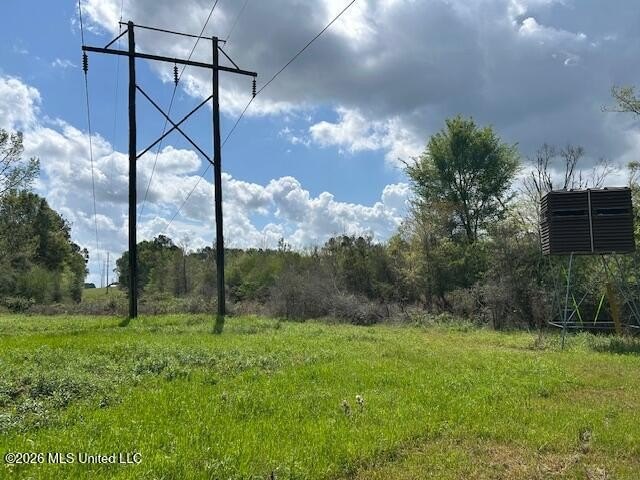 Stunning 120-Acre Recreational Retreat Near Tylertown Discover - photo 38