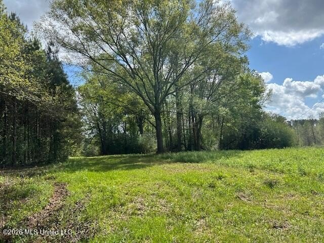 Stunning 120-Acre Recreational Retreat Near Tylertown Discover - photo 40