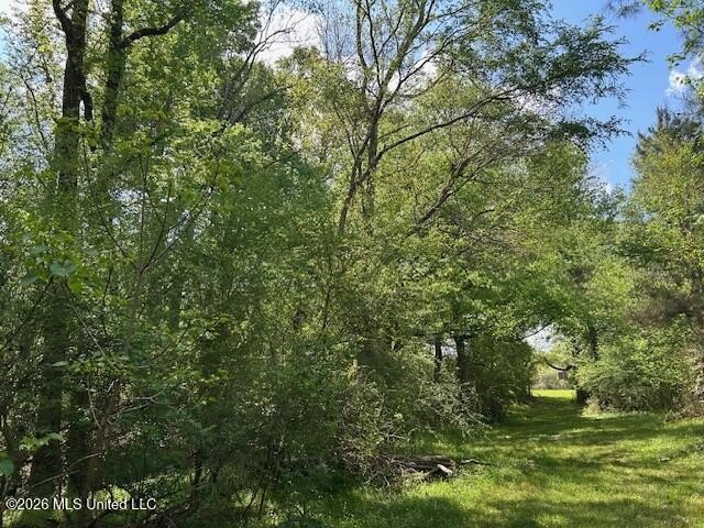 Stunning 120-Acre Recreational Retreat Near Tylertown Discover - photo 42