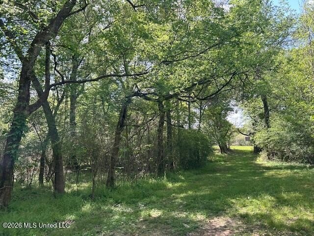 Stunning 120-Acre Recreational Retreat Near Tylertown Discover - photo 44