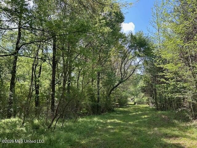 Stunning 120-Acre Recreational Retreat Near Tylertown Discover - photo 45