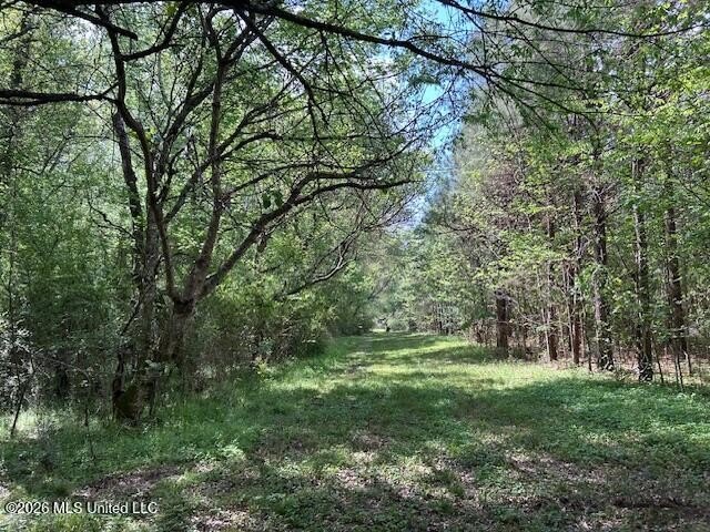 Stunning 120-Acre Recreational Retreat Near Tylertown Discover - photo 47