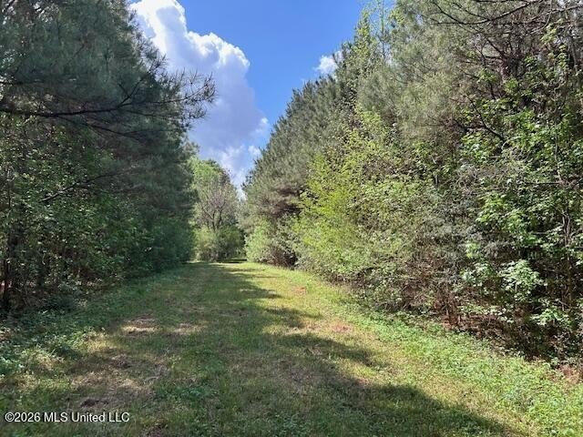 Stunning 120-Acre Recreational Retreat Near Tylertown Discover - photo 49