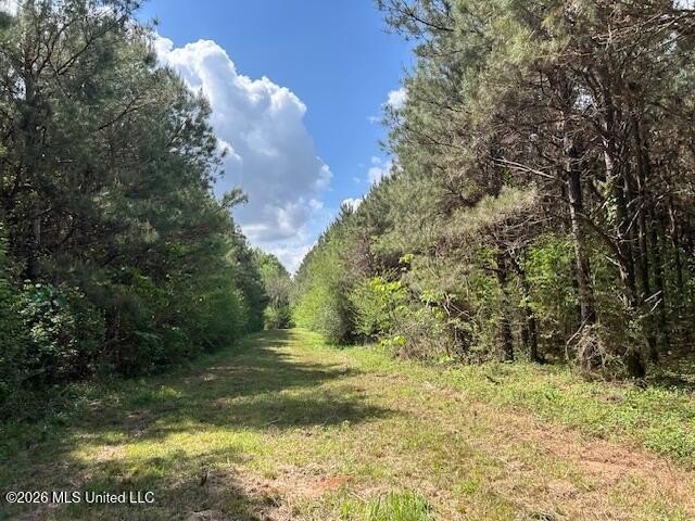 Stunning 120-Acre Recreational Retreat Near Tylertown Discover - photo 50