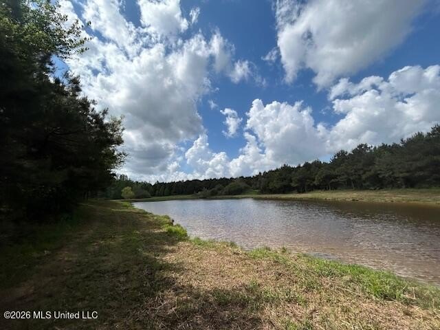 Stunning 57-Acre Recreational Retreat Near Tylertown Discover - photo 11