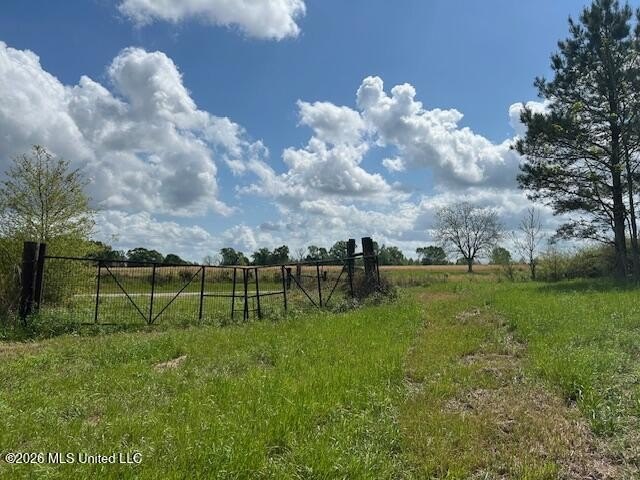 Stunning 57-Acre Recreational Retreat Near Tylertown Discover - photo 15