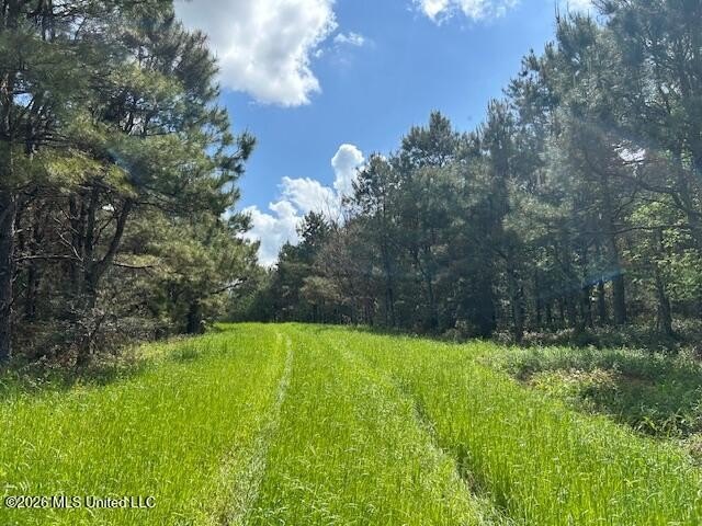 Stunning 57-Acre Recreational Retreat Near Tylertown Discover - photo 18