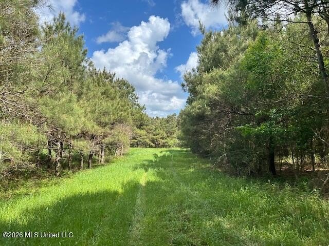 Stunning 57-Acre Recreational Retreat Near Tylertown Discover - photo 21