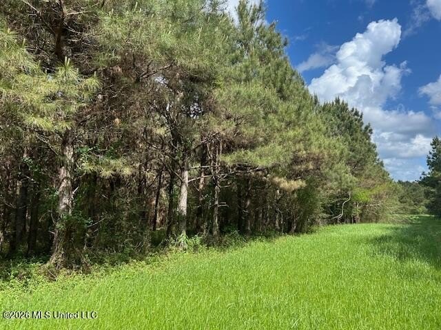 Stunning 57-Acre Recreational Retreat Near Tylertown Discover - photo 22