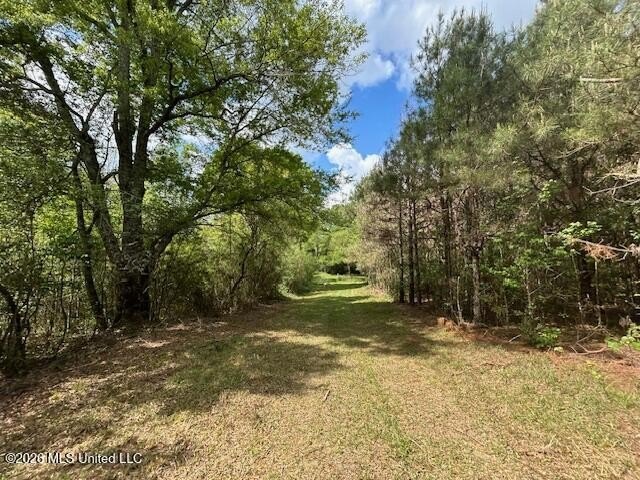 Stunning 57-Acre Recreational Retreat Near Tylertown Discover - photo 26
