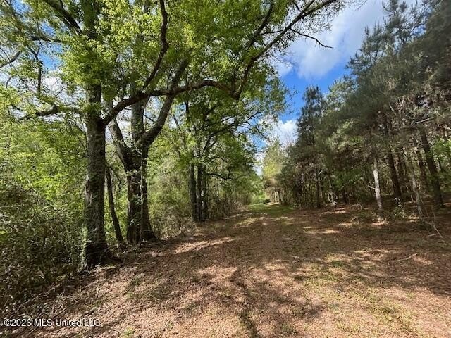 Stunning 57-Acre Recreational Retreat Near Tylertown Discover - photo 27