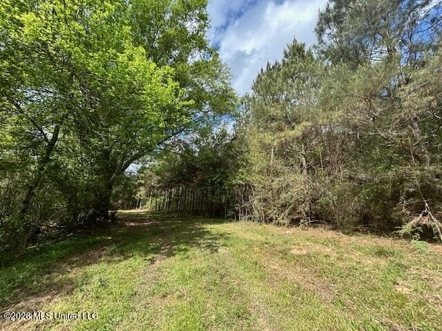 Stunning 57-Acre Recreational Retreat Near Tylertown Discover - photo 30