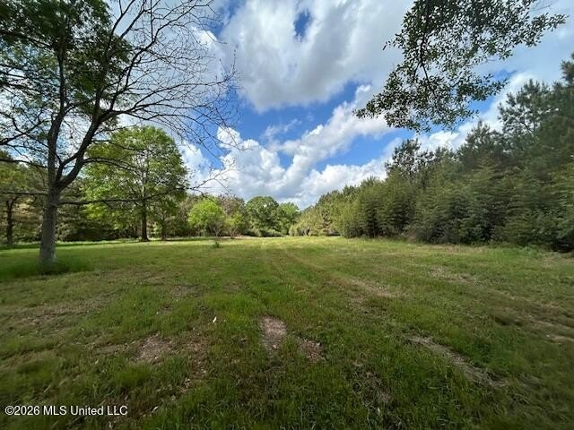Stunning 57-Acre Recreational Retreat Near Tylertown Discover - photo 32