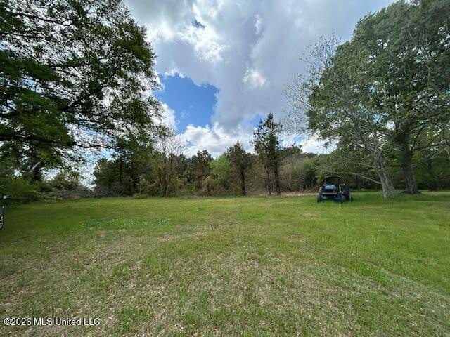 Stunning 57-Acre Recreational Retreat Near Tylertown Discover - photo 34