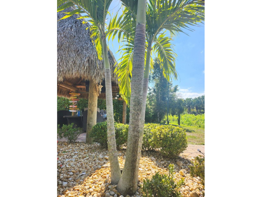 FIVE STAR RESORT LIVING - STUNNING PRESERVE LOT WITH CASITA &amp; - photo 8