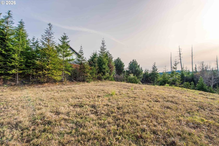 Unlock the potential of this nearly half-acre, cleared in-town - photo 17
