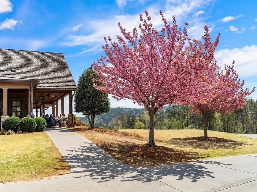 Here's your rare opportunity to own a stunning 4 bed 3 bath - photo 26