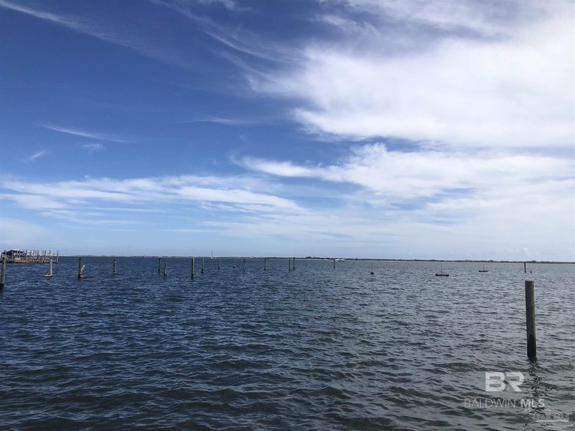 Take the stress out of trailering and launching the boat. Dry - photo 2