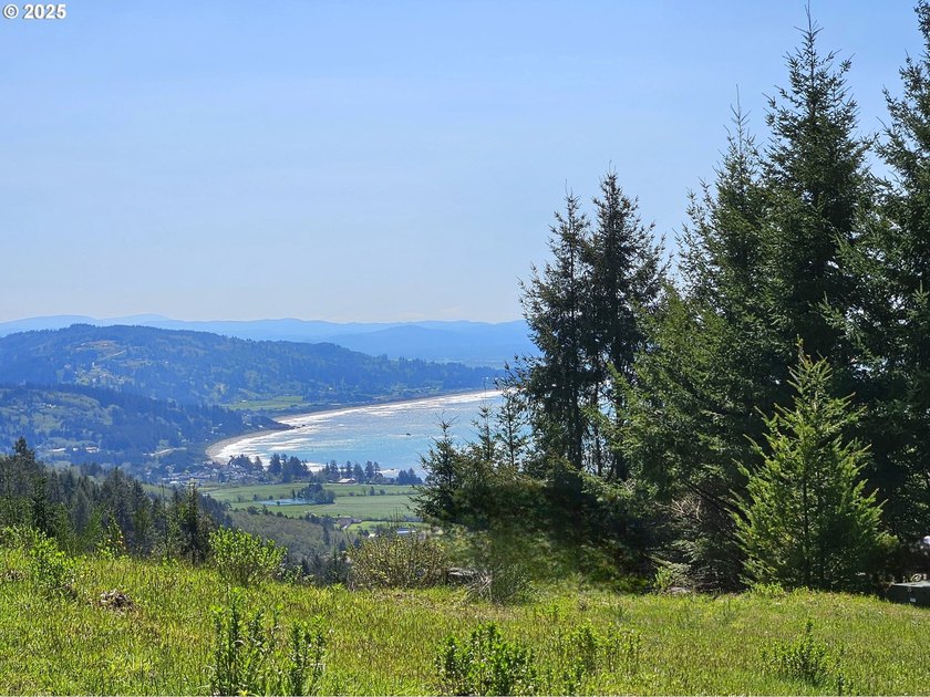 Spectacular Oceanview Acreage - No CC&amp;Rs or HOA! Nestled along a - photo 2