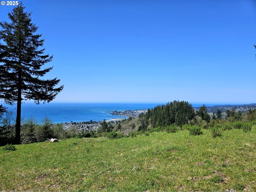 Spectacular Oceanview Acreage - No CC&amp;Rs or HOA! Nestled along a - photo 3