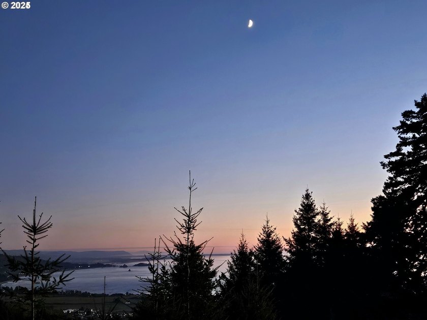 Spectacular Oceanview Acreage - No CC&amp;Rs or HOA! Nestled along a - photo 5
