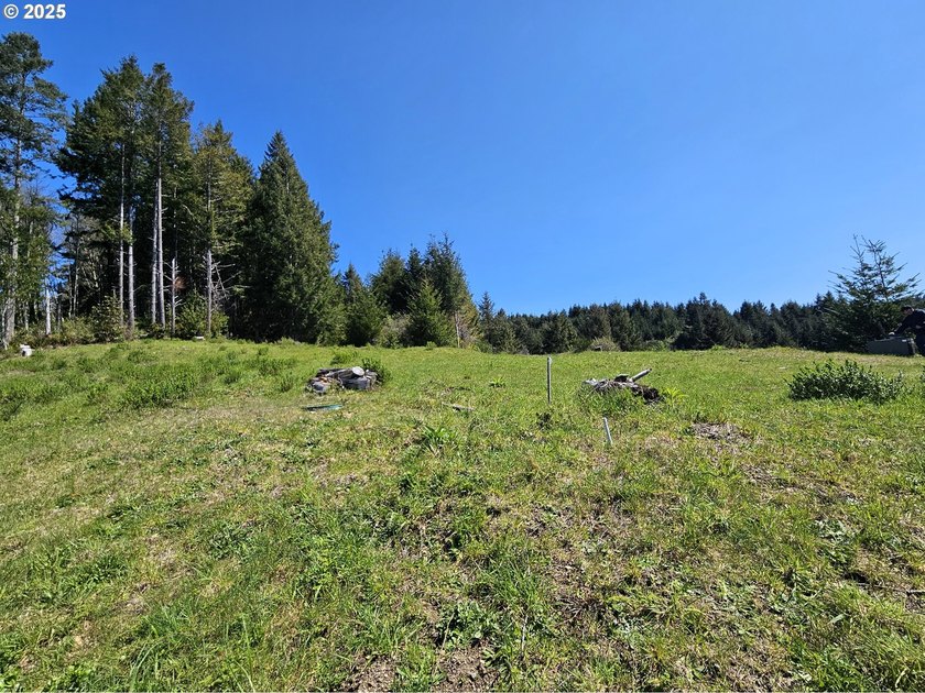 Spectacular Oceanview Acreage - No CC&amp;Rs or HOA! Nestled along a - photo 6